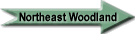 Northeastern Woodlands